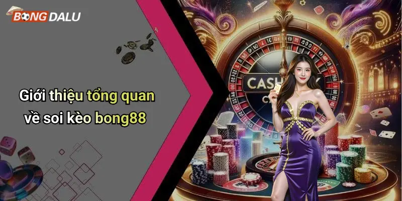 Giới thiệu tổng quan về soi kèo bong88