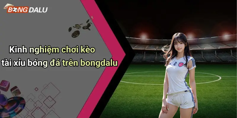 Kinh nghiệm chơi kèo tài xỉu bóng đá trên bongdalu