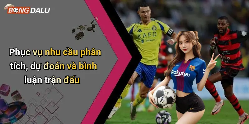 Phục vụ nhu cầu phân tích, dự đoán và bình luận trận đấu
