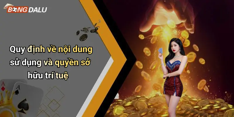 Quy định về nội dung sử dụng và quyền sở hữu trí tuệ