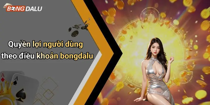 Quyền lợi người dùng theo điều khoản bongdalu