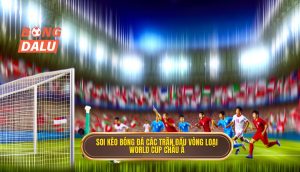 Soi kèo bóng đá các trận đấu vòng loại World Cup châu Á