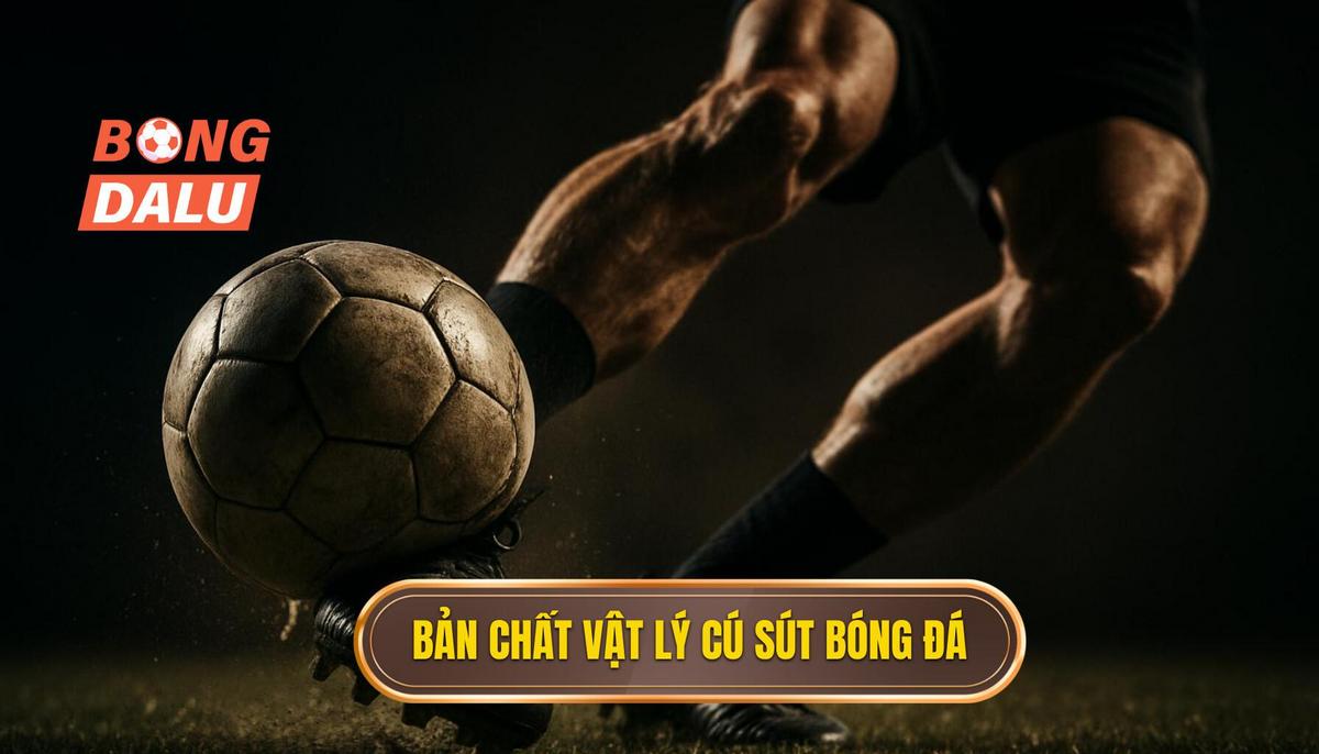 Bản chất vật lý và cơ học của cú sút chích mũi giày