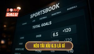 Kèo tài xỉu 6.5 là gì
