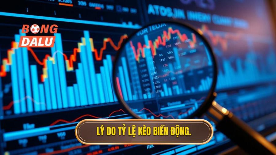 Tại sao tỷ lệ kèo lại biến động? Phân tích đa chiều