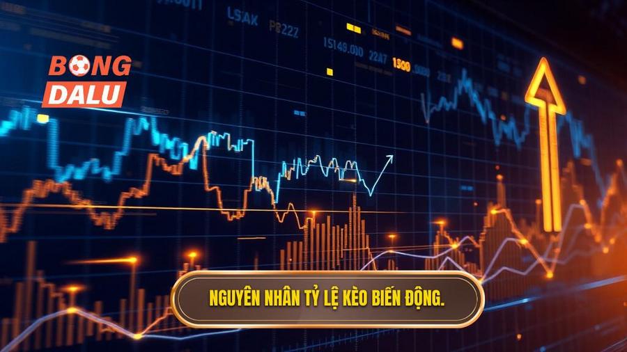 Tại sao tỷ lệ kèo trực tuyến lại biến động?